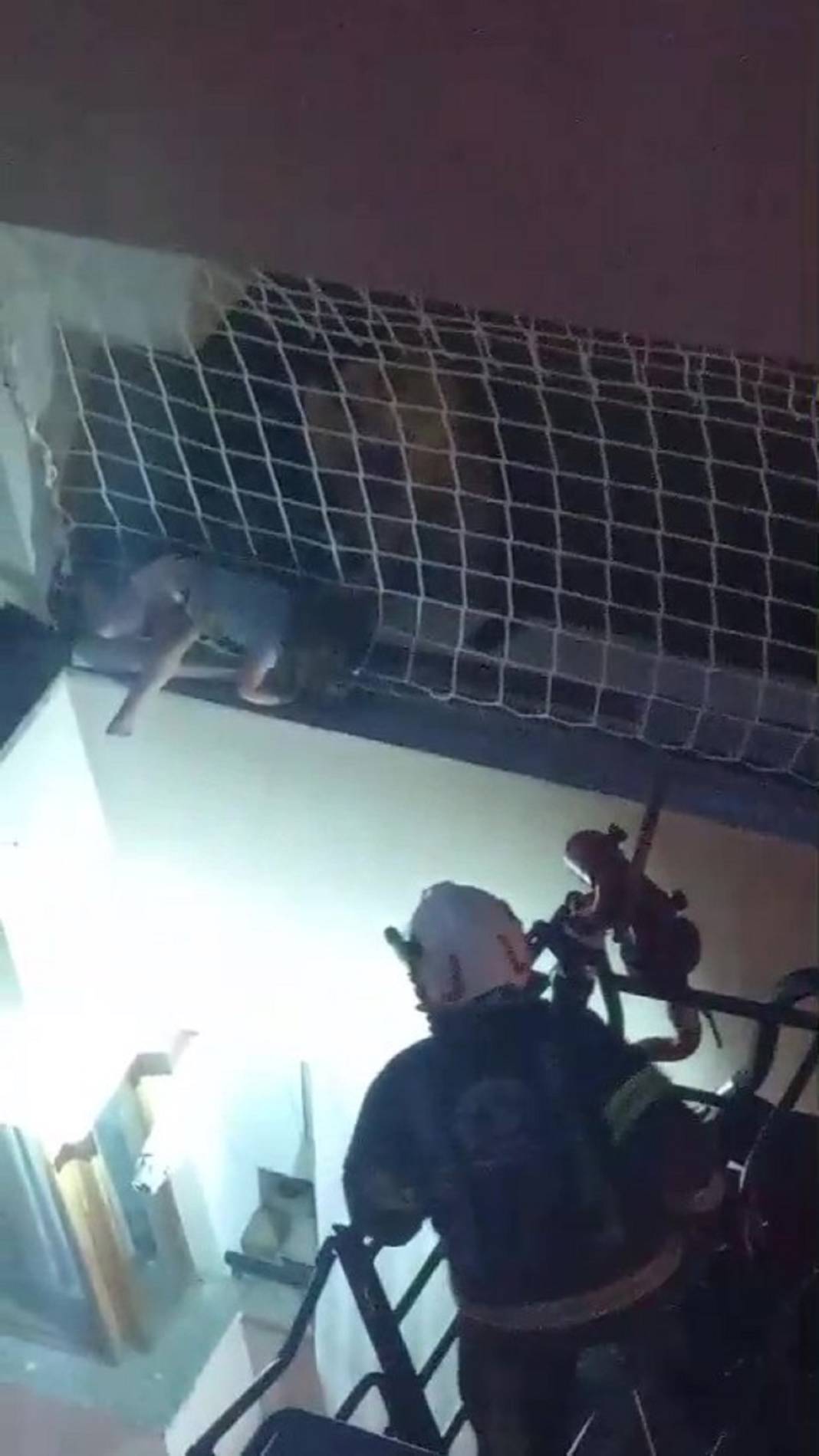 Can pazarı yaşandı! Küçük çocuk balkon filesine asılı kaldı! 3